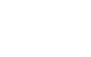 CHU-BREST_LOGO