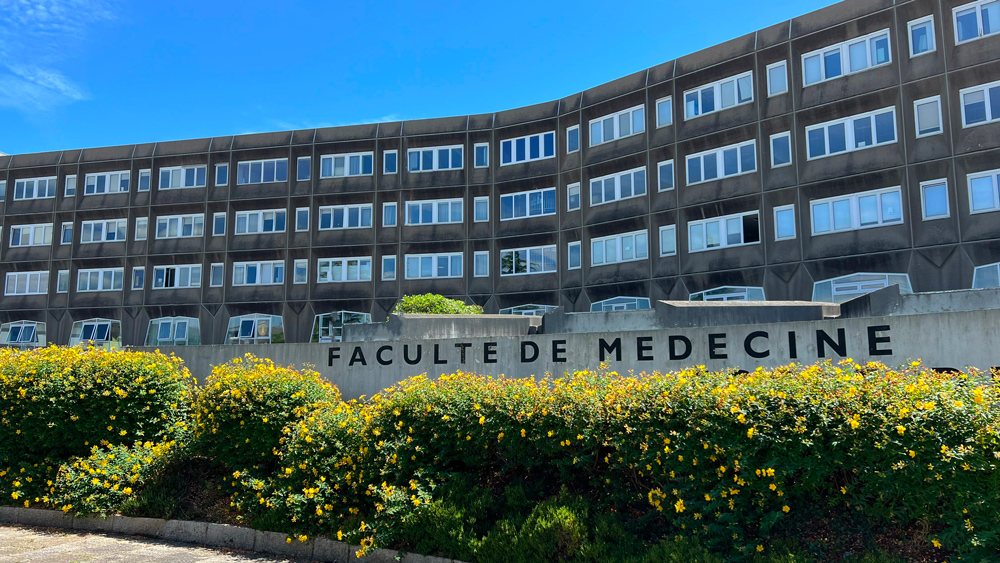 Faculté de médecine et des sciences de la santé BREST