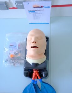 Simulateur tête d'intubation adulte